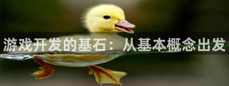 巅峰国际登陆：游戏开发的基石：从基本概念出发