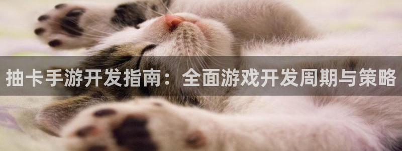 巅峰国际：抽卡手游开发指南：全面游戏开发周期与策略