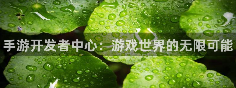巅峰国际：手游开发者中心：游戏世界的无限可能