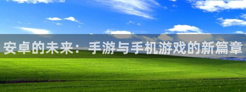 巅峰国际平台：安卓的未来：手游与手机游戏的新篇章