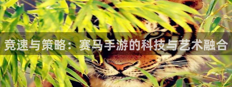 巅峰国际注册：竞速与策略：赛马手游的科技与艺术融合