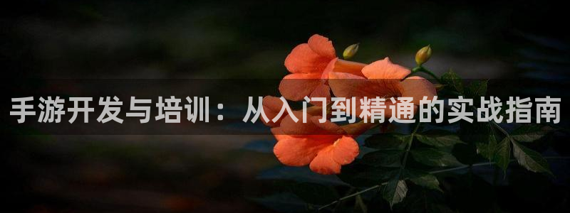 巅峰国际app：手游开发与培训：从入门到精通的实战指南