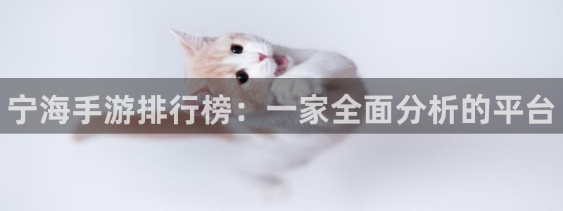 巅峰国际登录：宁海手游排行榜：一家全面分析的平台