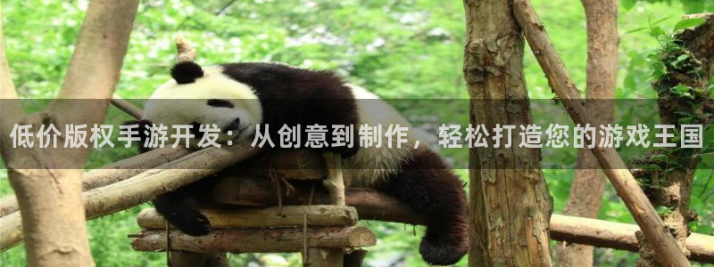巅峰国际首页：低价版权手游开发：从创意到制作，轻松打造您的游
