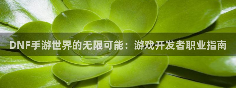 巅峰国际平台：DNF手游世界的无限可能：游戏开发者职业指南