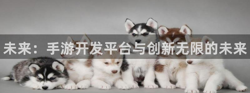 巅峰国际登录：未来：手游开发平台与创新无限的未来