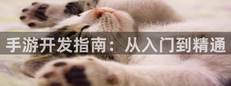 巅峰国际：手游开发指南：从入门到精通