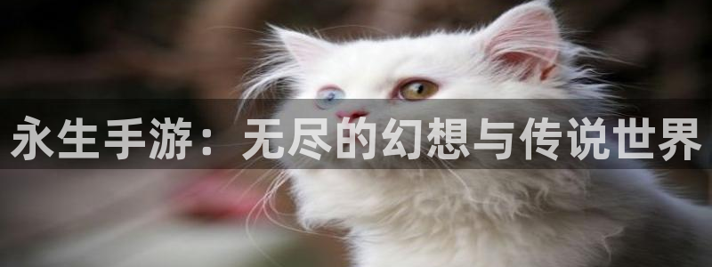 巅峰国际首页：永生手游：无尽的幻想与传说世界