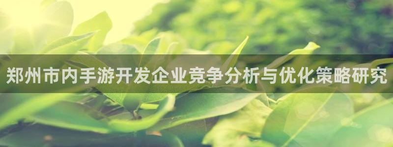 巅峰国际平台：郑州市内手游开发企业竞争分析与优化策略研究