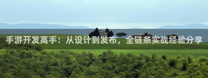 巅峰国际官网：手游开发高手：从设计到发布，全链条实战经验分享