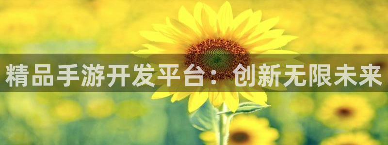 巅峰国际登录：精品手游开发平台：创新无限未来