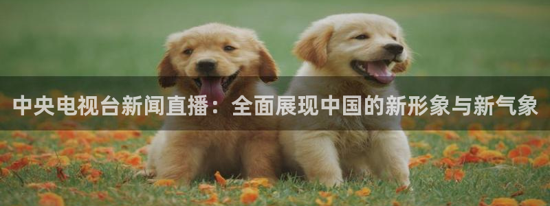 火凤体育直播免费比赛：中央电视台新闻直播：全面展现中国的新形象与新气象