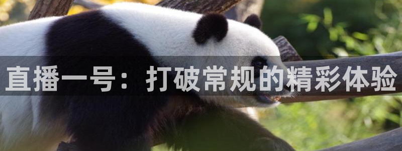 火凤体育直播高清入口：直播一号：打破常规的精彩体验