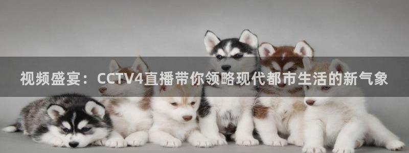 火凤体育免费直播在线观看：视频盛宴：CCTV4直播带你领略现代都市生活的新气象