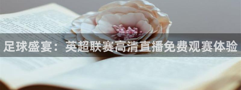 火凤直播篮球免费观看：足球盛宴：英超联赛高清直播免费观赛体验