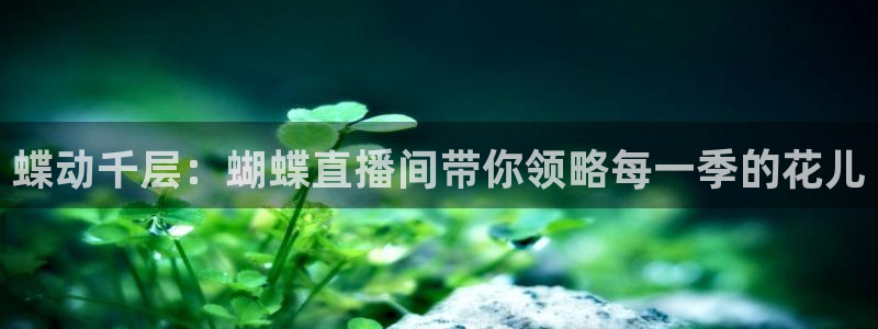 火凤斗球直播体育：蝶动千层：蝴蝶直播间带你领略每一季的花儿