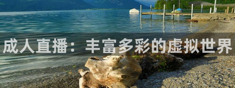 火凤足球直播免费观看：成人直播：丰富多彩的虚拟世界