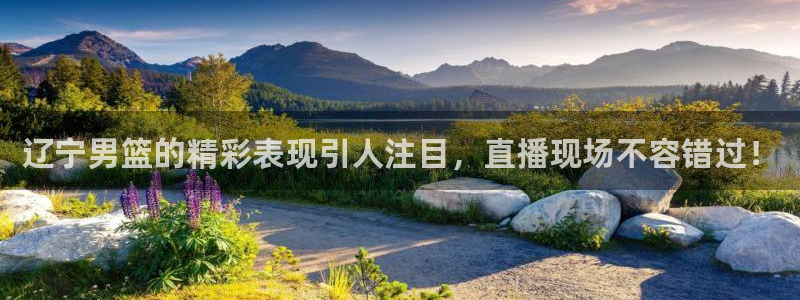 火凤直播足球赛免费视频：辽宁男篮的精彩表现引人注目，直播现场不容错过！