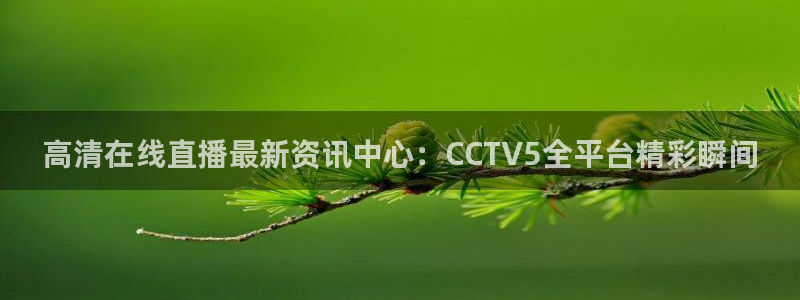 火凤直播nba