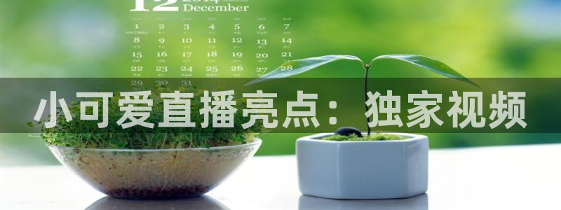 火凤直播足球